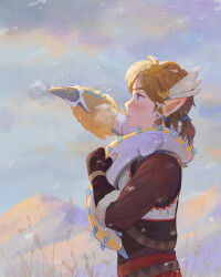 Rule 34 | 1boy, blue eyes, brown hair, brown jacket, earrings, feather hair ornament, feathers, fingerless gloves, from side, fur-trimmed jacket, fur trim, gloves, hair ornament, highres, jacket, jewelry, light dragon (zelda), link, male focus, maway, mini dragon, mountainous horizon, nintendo, overcast, pointy ears, short ponytail, sky, snowquill set (zelda), the legend of zelda, the legend of zelda: tears of the kingdom