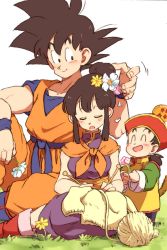 Rule 34 | 1girl, 2boys, black eyes, black hair, chi-chi (dragon ball), child, chinese clothes, dougi, dragon ball, dragon ball (object), dragonball z, family, father and son, flower, grass, hair flower, hair ornament, hand in another&#039;s hair, hat, knitting, knitting needle, looking at another, mother and son, multiple boys, needle, open mouth, short hair, simple background, sleeping, smile, son gohan, son goku, spiked hair, tail, tkgsize, white background, wool, wristband