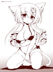 Rule 34 | 1girl, animal ears, betei, bikini, bow, breasts, cat ears, cat girl, cat tail, cleavage, crescent, crescent hair ornament, female focus, hair bow, hair ornament, large breasts, long hair, monochrome, open mouth, patchouli knowledge, sketch, solo, swimsuit, tail, thighhighs, touhou