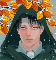 Rule 34 | 1boy, ascot, autumn leaves, babu (babushkahihi), black hair, blue eyes, branch, closed mouth, crying, crying with eyes open, curtained hair, highres, levi (shingeki no kyojin), male focus, mourning, portrait, shingeki no kyojin, short hair, solo, tears, tears from one eye, tree