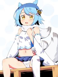 Rule 34 | 1girl, animal ears, azur lane, bare shoulders, bell, blue hair, blush, detached sleeves, fang, female focus, fox ears, fox tail, fubuki (azur lane), hair bell, hair ornament, highres, hk (user skxt8348), looking at viewer, midriff, navel, open mouth, panties, pantyshot, pleated skirt, shirt, simple background, single thighhigh, sitting, skirt, solo, spread legs, tail, thighhighs, underwear, white background, white panties, white shirt, white thighhighs, yellow eyes
