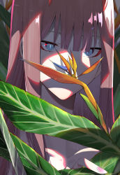 Rule 34 | 1girl, aqua eyes, chicke iii, collarbone, colored sclera, commentary request, darling in the franxx, flower, hair between eyes, highres, horns, nail polish, pink hair, red horns, red sclera, solo, straight hair, zero two (darling in the franxx)