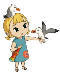 aryll bird holding holding_telescope nintendo non-web_source seagull snow-bunnii telescope the_legend_of_zelda the_legend_of_zelda:_the_wind_waker toon_(style) video_game