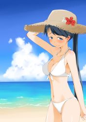 Rule 34 | 10s, 1girl, b-man, beach, bikini, black hair, blue eyes, blush, breasts, cleavage, day, hat, houshou (kancolle), kantai collection, long hair, looking at viewer, navel, ponytail, sky, smile, solo, standing, sun hat, swimsuit