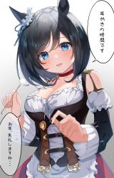 Rule 34 | 1girl, :d, absurdres, animal ears, apron, bare shoulders, black hair, black sleeves, blue eyes, blush, breasts, cleavage, collarbone, commentary request, dirndl, eishin flash (umamusume), etesumsom, frilled apron, frills, german clothes, gradient background, grey background, hair between eyes, highres, holding, horse ears, layered sleeves, long sleeves, looking at viewer, medium breasts, mimikaki, open mouth, puffy short sleeves, puffy sleeves, short over long sleeves, short sleeves, skirt, smile, solo, striped clothes, striped skirt, teeth, translation request, twitter username, umamusume, upper teeth only, vertical-striped clothes, vertical-striped skirt, waist apron, white apron, white background, white sleeves
