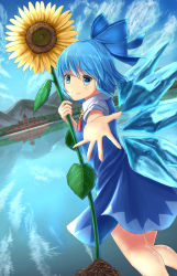 Rule 34 | 1girl, blue dress, blue eyes, blue hair, blue sky, cirno, cloud, day, dress, dutch angle, flower, hair ribbon, looking at viewer, luke (kyeftss), misty lake, mountain, outdoors, outstretched hand, puffy short sleeves, puffy sleeves, reaching, reaching towards viewer, reflection, ribbon, scarlet devil mansion, short hair, short sleeves, sky, smile, solo, sunflower, touhou, wings