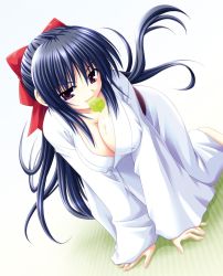 Rule 34 | 1girl, all fours, barefoot, blue hair, breasts, cleavage, highres, japanese clothes, kimono, large breasts, long hair, looking at viewer, matra milan, mouth hold, naughty face, noihara himari, official art, omamori himari, ponytail, purple eyes, seductive smile, smile, solo
