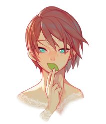 Rule 34 | 1girl, aqua eyes, bright pupils, brown hair, covered mouth, freckles, hand up, highres, holding, holding leaf, leaf, original, rinotuna, shadow, short hair, simple background, solo, white background, white pupils