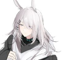 Rule 34 | 1girl, animal ears, arknights, black collar, black jacket, collar, extra ears, frostnova (arknights), grey eyes, grey hair, hair ornament, hair over one eye, hairclip, highres, infection monitor (arknights), jacket, joshua (shisanli934), long hair, rabbit ears, scar, scar on face, scar on nose, shirt, simple background, sketch, smile, solo, upper body, white background, white shirt
