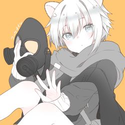 Rule 34 | animal ears, arknights, bag, blue eyes, blush, closed mouth, feet out of frame, gas mask, grey jacket, grey scarf, hair between eyes, holding, jacket, knees up, long sleeves, looking at viewer, mask, misha (arknights), orange background, puffy long sleeves, puffy sleeves, scarf, short hair, shoulder bag, silver hair, simple background, sleeves past wrists, somnium, spoilers, translation request