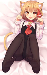 Rule 34 | 1girl, animal ear fluff, animal ears, ascot, bell, black dress, black pantyhose, blonde hair, cat ears, cat tail, collar, dress, fang, hair ribbon, highres, kemonomimi mode, legs up, looking at viewer, lying, neck bell, on back, open mouth, panties, panties under pantyhose, pantyhose, paw pose, red eyes, ribbon, rumia, shone, short hair, smile, solo, tail, thighband pantyhose, touhou, underwear