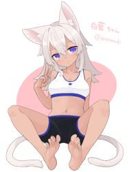 Rule 34 | 1girl, animal ear fluff, animal ears, bare arms, bare shoulders, barefoot, bike shorts, black shorts, breasts, cat ears, cat girl, cat tail, cleavage, closed mouth, commentary request, dark-skinned female, dark skin, full body, grey hair, hair between eyes, hand up, long hair, looking at viewer, medium breasts, multiple tails, navel, original, pink background, shako (syakoba3), short shorts, shorts, sitting, soles, solo, tail, translation request, twitter username, two-tone background, two tails, v, white background