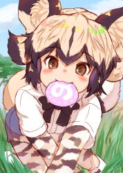 Rule 34 | 10s, 1girl, :3, african wild dog (kemono friends), african wild dog print, all fours, animal ear fluff, animal ears, animal print, black hair, blush, bodystocking, brown eyes, commentary request, day, dog ears, dog tail, flipped hair, food, grass, highres, japari bun, kemono friends, layered sleeves, light brown hair, long sleeves, looking at viewer, mouth hold, multicolored hair, ooba jun, outdoors, shirt, short over long sleeves, short sleeves, shorts, sidelocks, smile, solo, tail, twitter username, two-tone hair, white shirt