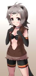 Rule 34 | 10s, 1girl, ahoge, american beaver (kemono friends), animal ears, antenna hair, bangs pinned back, bare shoulders, beaver ears, beaver tail, beige background, bikini, black bikini, blush, breasts, brown jacket, brown shorts, choker, cleavage, clenched hands, collarbone, elbow gloves, eyebrows, eyelashes, gloves, gradient background, gradient hair, grey hair, hair ornament, hairclip, halulu, jacket, kemono friends, long hair, looking at viewer, medium breasts, multicolored hair, navel, open clothes, open jacket, parted bangs, pink lips, popped collar, purple eyes, sanpaku, shiny skin, short shorts, shorts, simple background, sleeveless, sleeveless jacket, smile, solo, swimsuit, swimsuit under clothes, tail, tareme, thick eyebrows, two-tone background, two-tone hair, white background