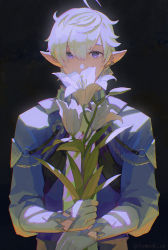 Rule 34 | 1boy, ahoge, alphinaud leveilleur, black background, blue coat, blue eyes, coat, covered mouth, earclip, earrings, elbow gloves, elezen, elf, final fantasy, final fantasy xiv, flower, gloves, highres, holding, holding flower, jewelry, komoshita, lily (flower), looking at viewer, male focus, pointy ears, short hair, simple background, single earring, solo, upper body, white gloves, white hair