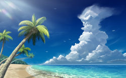 Rule 34 | beach, bird, blue sky, cloud, coconut, coconut tree, commentary request, day, horizon, no humans, nokiya, ocean, original, palm tree, sand, scenery, seagull, shadow, sky, summer, tree