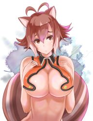 Rule 34 | 1girl, airi rei, animal ears, antenna hair, bad id, bad pixiv id, bare shoulders, blazblue, bottomless, breasts, brown eyes, brown hair, cleavage, female focus, highres, large breasts, makoto nanaya, midriff, navel, no bra, revealing clothes, short hair, solo, squirrel ears, squirrel tail, tail, underboob