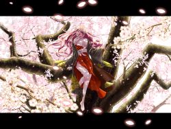 Rule 34 | 1girl, arm support, barefoot, branch, cherry blossoms, haori, highres, japanese clothes, letterboxed, long hair, megurine luka, nail polish, off shoulder, open mouth, petals, pink hair, profile, shoudoubutsu, sitting, solo, tree, vocaloid