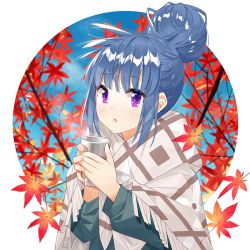 Rule 34 | 1girl, autumn leaves, bad id, bad pixiv id, blue hair, commentary, cup, hair bun, holding, holding cup, leaf, long sleeves, maple leaf, pananother, parted lips, purple eyes, shawl, shima rin, single hair bun, solo, steam, upper body, yurucamp