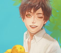 Rule 34 | 1boy, absurdres, blue background, branch, brown hair, collared shirt, commentary request, food, fruit, green eyes, highres, holding, leaf, looking at viewer, male focus, murasaki (fioletovyy), one eye closed, original, shirt, signature, smile, solo, spain (hetalia), upper body, wing collar