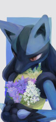 Rule 34 | 1boy, absurdres, animal ears, animal hands, black fur, blue background, blue fur, body fur, border, butter (oshi8kyoumoh), creatures (company), flower, furry, furry male, game freak, gen 4 pokemon, grey border, hands up, highres, holding, holding flower, lucario, male focus, multicolored fur, nintendo, outside border, own hands together, pokemon, pokemon (creature), purple flower, red eyes, simple background, snout, solo, spikes, standing, upper body, white flower, wolf boy, wolf ears, yellow fur
