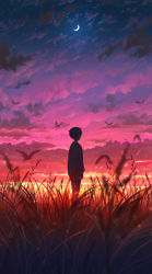 Rule 34 | 1boy, absurdres, bird, blurry, blurry foreground, cloud, cloudy sky, crescent moon, from behind, highres, long sleeves, looking up, male focus, moon, original, pasoputi, scenery, short hair, sky, solo, sunset, wheat field