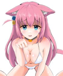 Rule 34 | 1girl, animal ears, between legs, bikini, blue eyes, blush, bocchi the rock!, breasts, cat ears, cat girl, cat tail, cleavage, collar, collarbone, cube hair ornament, dot nose, embarrassed, eyebrows, eyelashes, feet out of frame, female focus, from above, gotoh hitori, grey collar, hair ornament, hand between legs, hand up, kemonomimi mode, large breasts, leaning forward, long hair, looking at viewer, navel, open mouth, paw pose, pink hair, shaded face, simple background, sitting, smile, solo, swimsuit, tail, vankart12, wariza, white background, white bikini