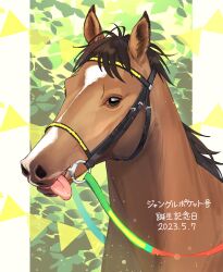 Rule 34 | bridle, dated, happy birthday, highres, horse, jungle pocket (racehorse), looking at viewer, nayuta ggg, no humans, outside border, real life, reins, tongue, tongue out, translated