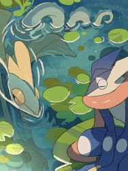 Rule 34 | afloat, blue skin, closed eyes, colored skin, commentary request, creatures (company), frog, from above, game freak, gen 6 pokemon, gen 8 pokemon, greninja, highres, inteleon, lily pad, nintendo, pokemon, pokemon (creature), ripples, suikaels, tail, water, webbed hands, yellow eyes