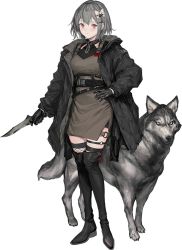 Rule 34 | 1girl, animal, black coat, black collar, black footwear, black gloves, boots, bow, breasts, brown dress, closed mouth, coat, collar, dress, fishnet thighhighs, fishnets, full body, gloves, grey hair, hair bow, hair ornament, hairclip, holding, holding knife, iron saga, knife, lm7 (op-center), long sleeves, medium breasts, nameria (iron saga), o-ring, official art, pink eyes, short hair, thigh boots, thigh strap, thighhighs, transparent background, wolf