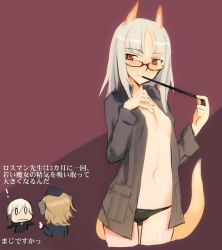 Rule 34 | 0 0, 10s, 3girls, animal ears, brave witches, chibi, chibi inset, cropped legs, edytha rossmann, erica hartmann, fox ears, glasses, multiple girls, navel, open clothes, open shirt, panties, red eyes, shimada fumikane, shirt, silver hair, strike witches, tail, translated, underwear, uniform, waltrud krupinski, world witches series