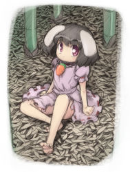 Rule 34 | 1girl, animal ears, bamboo, bamboo forest, barefoot, rabbit ears, child, female focus, forest, full body, inaba tewi, kanno, nature, outdoors, plant, sketch, solo, touhou
