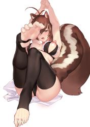 Rule 34 | 1girl, absurdres, animal ears, antenna hair, arms behind head, arms up, atorosu, black thighhighs, blazblue, blush, bra, breasts, brown eyes, brown hair, cameltoe, cupless bra, feet, foot focus, frills, hair between eyes, highres, interlocked fingers, large breasts, makoto nanaya, nippleless clothes, nipples, no shoes, open mouth, own hands clasped, own hands together, revealing clothes, short hair, simple background, sitting, soles, solo, squirrel ears, squirrel girl, squirrel tail, stirrup legwear, tail, thighhighs, toeless legwear, toes, underwear
