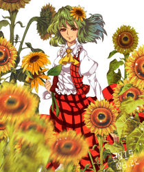 Rule 34 | 1girl, ascot, blurry, collar, collared shirt, dated, depth of field, flower, frilled collar, frilled shirt, frilled shirt collar, frills, green hair, hair flower, hair ornament, highres, holding, holding flower, kazami yuuka, light particles, long skirt, long sleeves, looking at viewer, open clothes, open vest, plaid, plaid skirt, plaid vest, puffy long sleeves, puffy sleeves, red eyes, red skirt, shirt, short hair, simple background, skirt, smile, solo, standing, sunflower, third-party edit, touhou, unfinished, vest, white background, wind, yayoi (su misheng)