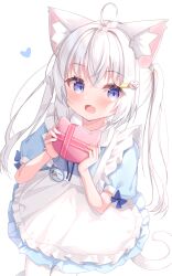 Rule 34 | 1girl, ahoge, animal ear fluff, animal ears, apron, blue dress, blue eyes, blush, box, box of chocolates, cat-shaped box, cat ears, cat girl, cat tail, dress, fang, frilled apron, frills, hair ornament, hairclip, heart, highres, looking at viewer, maid, matchanear, open mouth, original, pantyhose, puffy short sleeves, puffy sleeves, short dress, short sleeves, simple background, solo, tail, twintails, valentine, white apron, white background, white hair, white pantyhose