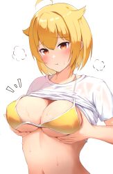 Rule 34 | 1girl, :t, ahoge, bikini, bikini under clothes, blonde hair, blush, breast lift, breasts, cleavage, closed mouth, clothes lift, commentary request, hair between eyes, hair flaps, halterneck, hands up, highres, ibuki tsubasa, idolmaster, idolmaster million live!, karua (karua23), large breasts, looking ahead, navel, notice lines, orange eyes, pout, puff of air, raised eyebrows, see-through, shirt, shirt lift, short hair, short sleeves, simple background, solo, sweatdrop, swimsuit, underboob, upper body, wet, wet clothes, wet shirt, white background, white shirt, yellow bikini