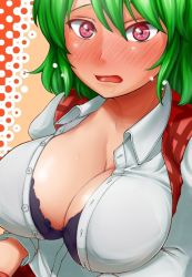 Rule 34 | 1girl, black bra, blush, bra, breasts, cleavage, dress shirt, green hair, impossible clothes, impossible shirt, kazami yuuka, lace, lace-trimmed bra, lace trim, large breasts, looking at viewer, open mouth, plaid, plaid vest, red eyes, sadahiro (chicken nugget gyuuniku aji), shirt, short hair, solo, taut clothes, taut shirt, teikou, touhou, underwear, upper body, vest