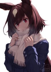 Rule 34 | 1girl, absurdres, animal ears, blue coat, brown hair, buttons, closed mouth, coat, commentary request, double-breasted, ear ornament, frown, hair between eyes, highres, horse ears, horse girl, long hair, long sleeves, looking at viewer, multicolored hair, red eyes, scarf, shiro3necro, signature, simple background, sirius symboli (umamusume), solo, streaked hair, tracen winter coat, umamusume, very long hair, white background, white hair, white scarf