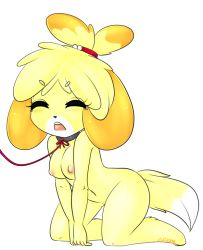 Rule 34 | 1girl, animal crossing, animal ears, artist name, blonde hair, blush, breasts, collar, dog ears, dog tail, closed eyes, female focus, full body, furry, furry female, hair ornament, heart, isabelle (animal crossing), kneeling, leaning forward, leash, medium breasts, navel, nintendo, nipples, nude, open mouth, own hands together, short hair, signature, solo, tail, tears, teeth, text focus, transparent background, v arms, zyira