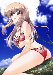 Rule 34 | 1girl, :o, arm grab, ass, back, bikini, blush, body blush, breasts, brown hair, butt crack, cleavage, cloud, covered erect nipples, dead or alive, embarrassed, female focus, floral print, hairband, highres, hitomi (doa), in tree, large breasts, long hair, looking at viewer, looking back, open mouth, outdoors, pink eyes, print bikini, profile, shiny skin, sidelocks, sitting, sitting in tree, sky, solo, straddling, string bikini, swimsuit, tatibana, tecmo, thighs, tree, underboob, wardrobe malfunction