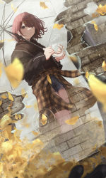Rule 34 | 1girl, absurdres, black hoodie, black jacket, blue shorts, blurry, blurry foreground, brick floor, brown hair, closed mouth, clothes around waist, commentary request, cutoffs, denim, denim shorts, depth of field, from above, frown, highres, higuchi madoka, holding, holding umbrella, hood, hood down, hoodie, idolmaster, idolmaster shiny colors, jacket, leaf, looking at viewer, marishiten (mar1sh110), mole, mole under eye, pov, puddle, purple eyes, reflection, short hair, shorts, solo, swept bangs, umbrella, wind
