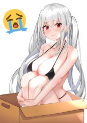 Rule 34 | 1girl, bare arms, bare shoulders, bikini, black bikini, box, breasts, cardboard box, cleavage, collarbone, emoji, frown, halterneck, halterneck, highres, in box, in container, knees up, large breasts, hugging own legs, long hair, looking at viewer, nephthys2356, original, red eyes, silver hair, simple background, sitting, solo, string bikini, swimsuit, twintails, very long hair, wavy mouth, white background