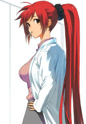 Rule 34 | 1girl, breasts, brown eyes, hand on own hip, highres, hip focus, hirokiku, lab coat, large breasts, long hair, looking at viewer, mouth hold, original, ponytail, red hair, scrunchie, shirt, solo, striped clothes, striped shirt, very long hair