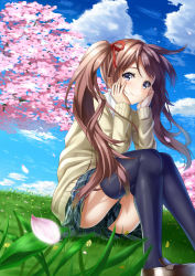 Rule 34 | 1girl, alexmaster, black thighhighs, blue eyes, brown hair, cardigan, cherry blossoms, clothes between thighs, clothes lift, day, falling petals, from below, from side, grass, head rest, highres, legs, long sleeves, looking at viewer, original, outdoors, petals, school uniform, sitting, skirt, skirt lift, solo, thighhighs, twintails