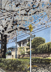 Rule 34 | day, hayashi ryouta, house, no humans, original, power lines, real world location, road sign, ryota884, scenery, sign, sky, tree, window