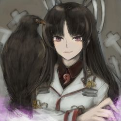 Rule 34 | 10s, 1girl, animal on arm, bad id, bad pixiv id, bird, bird on arm, bird request, brown hair, coat, crossed arms, grey background, hawk, hiyou (kancolle), ichi inaru, kantai collection, lips, long hair, looking at viewer, magatama, purple eyes, ribbon, shikigami, simple background, solo, tassel, twitter username, uniform, upper body, white ribbon