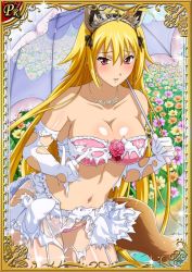 Rule 34 | 00s, 1girl, blonde hair, blush, bra, breasts, chousen (ikkitousen), cleavage, dress, female focus, flower, ikkitousen, jewelry, large breasts, long hair, looking at viewer, necklace, official art, open mouth, panties, red eyes, solo, standing, tiara, torn clothes, umbrella, underwear