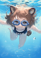 Rule 34 | 1girl, air bubble, animal ears, batta (kanzume quality), blue one-piece swimsuit, breasts, bubble, character request, glasses, kitsune no oyome-chan to musuko-chan, looking at viewer, medium hair, name tag, one-piece swimsuit, school swimsuit, small breasts, solo, submerged, swimming, swimsuit, tagme, tail, underwater