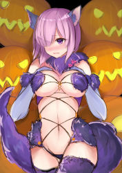 Rule 34 | 1girl, absurdres, animal ears, bare shoulders, blush, breasts, mash kyrielight (dangerous beast), elbow gloves, fate/grand order, fate (series), fur, gloves, hair over one eye, halloween, highres, mash kyrielight, navel, open mouth, panties, pumpkin, purple eyes, purple hair, short hair, tail, thighhighs, underwear