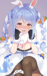 Rule 34 | 1girl, animal ear fluff, animal ears, bare shoulders, black bra, black gloves, black leotard, black pantyhose, blue hair, blue ribbon, blush, bow, bra, braid, breasts, carrot, carrot hair ornament, cleavage, commentary request, detached sleeves, don-chan (usada pekora), dress, feet out of frame, food-themed hair ornament, fur trim, gloves, grey background, hair bow, hair ornament, hands on own face, highres, hololive, knee up, leotard, long hair, looking at viewer, multicolored hair, nose blush, open mouth, orange eyes, pantyhose, pom pom (clothes), puffy short sleeves, puffy sleeves, rabbit-shaped pupils, rabbit ears, rabbit girl, ribbon, short sleeves, sidelocks, silver hair, simple background, sitting, small breasts, solo, symbol-shaped pupils, tearing up, twin braids, twintails, two-tone background, two-tone hair, underwear, usada pekora, usada pekora (1st costume), virtual youtuber, white background, white bow, white dress, yuutii